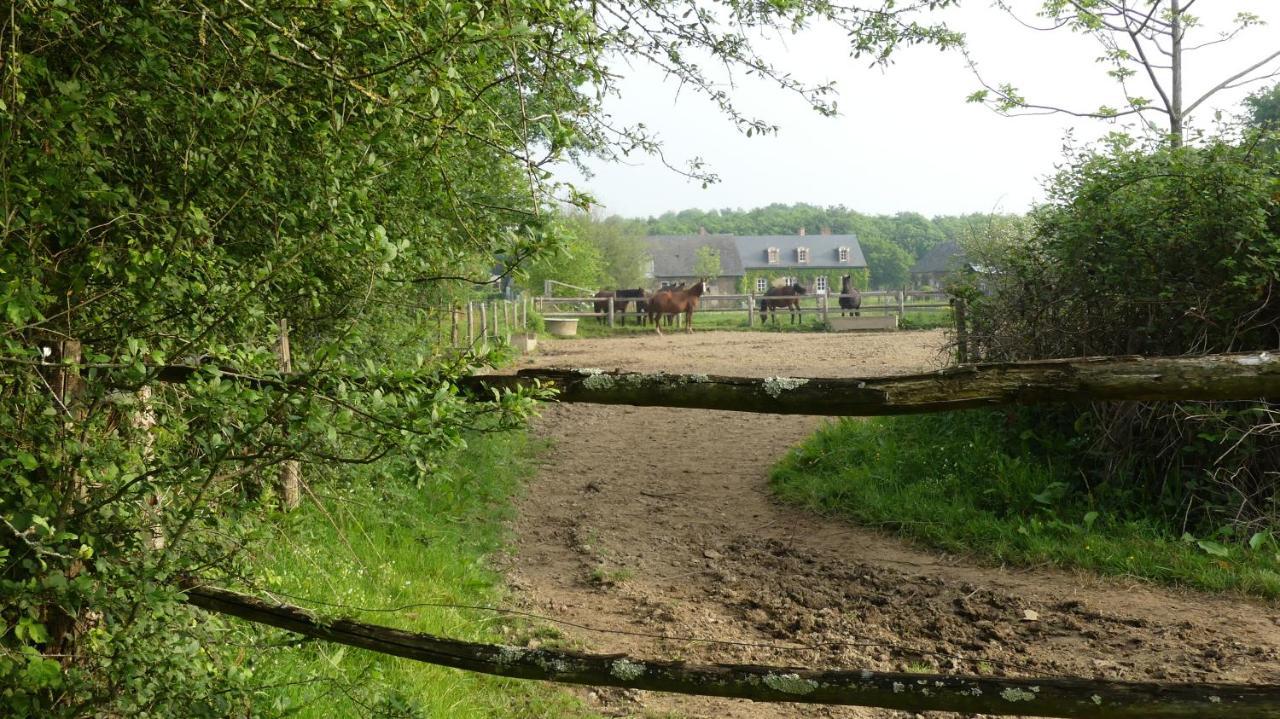 La Petite Lande Bed & Breakfast Ménil Exterior photo