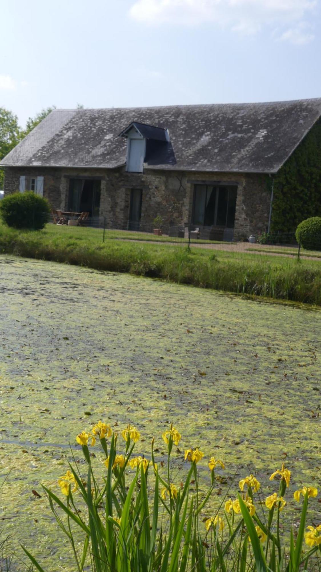 La Petite Lande Bed & Breakfast Ménil Exterior photo