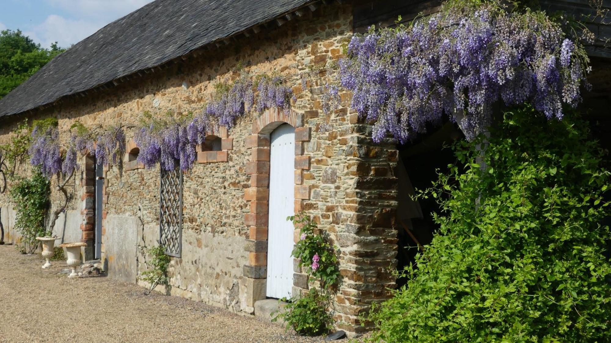 La Petite Lande Bed & Breakfast Ménil Exterior photo